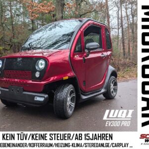 Elektroauto Kabinenroller EV300 PRO Elektroroller Mopedauto