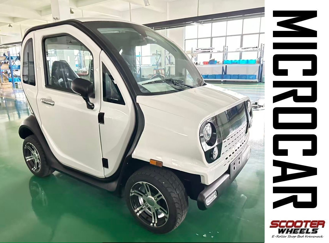 Elektroauto Kabinenroller EV300 PRO Elektroroller Mopedauto 45km/h 160ah LiFe Po4 Akku