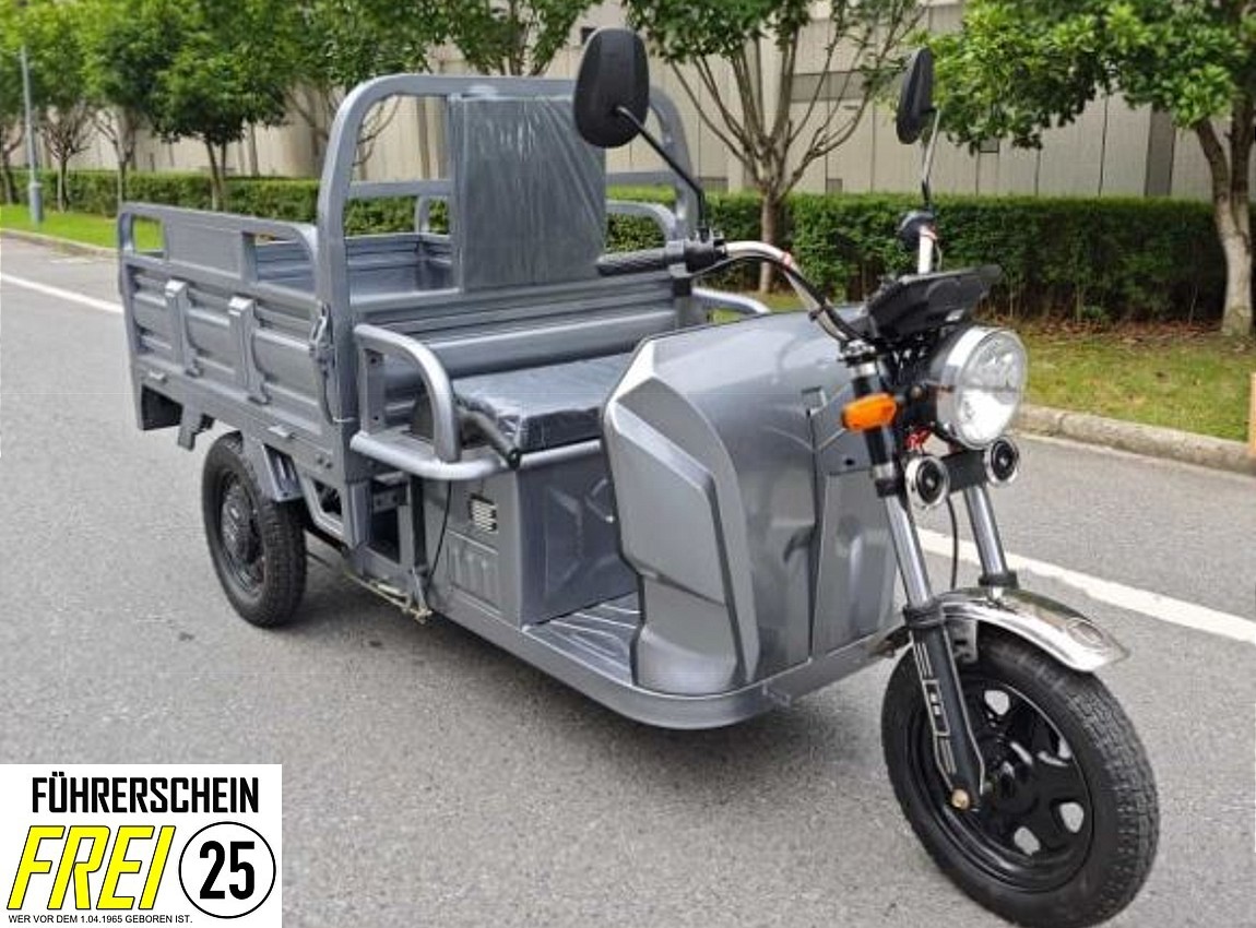 Elektro Kipper W12 Lastendreirad Blei-Akku 25/45 km/h E-Transportpritsche